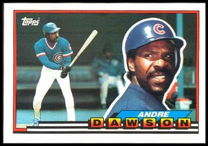 120 Andre Dawson